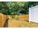 Large backyard with wood fence and freshly planted tree, perfect for outdoor activities at 2505 Elon St, Charlotte, NC 28208