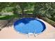 Aerial view of a backyard pool surrounded by lush landscaping and privacy fence at 6008 Corkstone Dr, Mint Hill, NC 28227