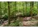 Idyllic backyard space with a stream and cozy seating area at 7230 Ridge Lane Rd, Charlotte, NC 28262