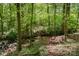 Idyllic backyard space with a stream and cozy seating area at 7230 Ridge Lane Rd, Charlotte, NC 28262