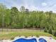 Serene backyard featuring lush greenery and a distant view of wooded acreage at 10035 Mast Cove Ln, Charlotte, NC 28278