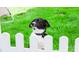 Backyard featuring a black and white dog looking over a white fence, enjoying the fresh air at 1358 Holden Sw Ave, Concord, NC 28025