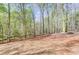 Backyard view showcasing wooded landscape with mature trees and natural terrain at 176 Forest Creek Dr, Statesville, NC 28625
