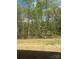 A large fenced backyard with green grass, and tree lined property in the background at 2932 Pirates Pl, Charlotte, NC 28216