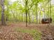 Wooded lot with mature trees, fallen leaves and an outbuilding with an American flag hanging from the side at 4757 Mountain View Ln, Maiden, NC 28650