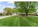 Well-kept front yard showcasing a mature shade tree and a neatly landscaped lawn at 5211 Driftwood Dr, Davidson, NC 28036