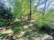 Serene backyard with lush greenery and mature trees creating a private outdoor oasis at 7507 Limerick Dr, Charlotte, NC 28270
