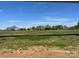 Expansive backyard with a lush grassy field offering a serene view at 1070 Gardenia Dr # 4, Mt Ulla, NC 28125