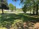 Expansive yard space featuring mature trees and a serene environment, showcasing the property's outdoor potential at 1203 N Charlotte Ave, Monroe, NC 28110