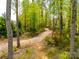 A peaceful walking trail meandering through a natural wooded setting at 124 Rosebay Dr, Mooresville, NC 28117