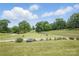 Lush green park with walking paths, mature trees, and landscaping at 313 Mayflower Ave, Cramerton, NC 28032