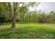 Expansive backyard featuring a lush green lawn and mature trees, perfect for outdoor activities at 8412 Cricket Lake Dr, Charlotte, NC 28277