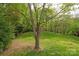 Lush green backyard featuring mature trees, offering a peaceful and private outdoor space at 8412 Cricket Lake Dr, Charlotte, NC 28277