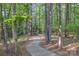 Scenic walking path through a lush green forest at 10328 Lemington Dr, Mint Hill, NC 28227