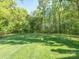 Expansive, lush green backyard surrounded by mature trees, offering privacy and a serene setting at 1203 Maple Shade Ln, Charlotte, NC 28270