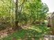 Expansive and shaded backyard with mature trees and established lawn, partially fenced in at 1203 Maple Shade Ln, Charlotte, NC 28270