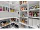 Organized walk-in pantry with ample shelving and storage for all your culinary needs at 3036 Palm Ave, Charlotte, NC 28205