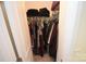 Walk-in closet features neatly organized clothing, overhead storage, and easy access for maximum space at 346 Cornielle Ln, Charlotte, NC 28216