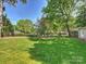 A large, flat backyard with mature trees, perfect for outdoor activities at 517 Wingrave Dr, Charlotte, NC 28270