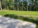 Expansive backyard with lush green grass and tall trees, providing a serene natural setting at 6519 Pargo Rd, Charlotte, NC 28216