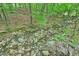 View of a peaceful rocky stream running through the wooded property at 7067 Rocky Falls Rd, Charlotte, NC 28211