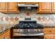 A close-up of a gas range and stainless steel exhaust hood over granite countertops, complemented by tile backsplash at 1325 Red Oaks Dr, Rock Hill, SC 29730
