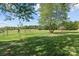 Large backyard with extensive green space and scattered trees at 14855 Nc 801 Hwy Hwy, Mt Ulla, NC 28125