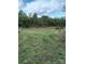 Scenic land view with green grass and trees under a partly cloudy sky at 4330 Goodman Lake Rd, Salisbury, NC 28146