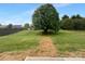 Spacious backyard with a large mature tree, lush lawn, and partial fence at 508 Danfield Dr, Clover, SC 29710