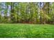 Green backyard space featuring a wooded area along the back edge of the property at 13505 Michael Lynn Rd, Charlotte, NC 28278