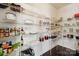 Walk-in pantry features ample shelving space for food storage and organization at 221 Sycamore Creek Rd, Fort Mill, SC 29708