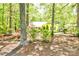 Secluded yellow home nestled in a tranquil wooded setting surrounded by mature trees and natural foliage at 2929 Matoka Trl, Matthews, NC 28104