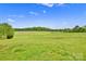 Sprawling green field with mature trees in the background at 3871 Cool Branch Dr, Maiden, NC 28650