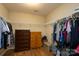 Organized walk-in closet with ample storage, shelving, and hanging space at 4315 Barnside Ln, Charlotte, NC 28216