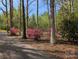 Well-manicured landscaping featuring bright pink azaleas lining the property's driveway at 6778 Emerald Isle Dr, Sherrills Ford, NC 28673