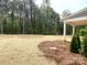 Backyard featuring freshly laid straw, lush evergreens and a view of the surrounding trees at 117 Blackbeard Ln, Mooresville, NC 28117