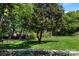 Lush backyard with mature trees and pristine lawn, offering a peaceful outdoor retreat at 1816 5Th Nw St, Hickory, NC 28601