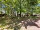 Wooded backyard with mature trees and fenced perimeter at 2113 Killarney Pl, Charlotte, NC 28262