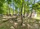 Shaded backyard featuring a fire pit, a few mature trees, and lush ground cover at 2113 Killarney Pl, Charlotte, NC 28262