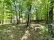 Large, tree-filled backyard with a fenced perimeter at 2113 Killarney Pl, Charlotte, NC 28262
