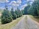 Gravel driveway lined with mature evergreen trees at 6401 Alley Rd, Catawba, NC 28609
