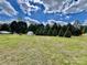 Lush green front yard featuring a small greenhouse and mature trees at 6401 Alley Rd, Catawba, NC 28609