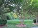 Backyard features mature trees and landscaping, offering a serene and private outdoor setting with a lush green lawn at 6726 Park Meadows Pl, Huntersville, NC 28078
