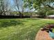Large grassy backyard with a dark wood privacy fence and mature shade trees at 901 Ridge St, Albemarle, NC 28001