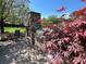 An outdoor patio with a built-in stone fireplace and grill, accented by vibrant Japanese maple at 901 Ridge St, Albemarle, NC 28001