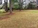 Lush backyard with mature trees and natural foliage at 1012 Hawkinstown Rd, Salisbury, NC 28144