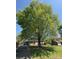 A charming home with a spacious front yard and beautiful mature shade tree at 107 Plumtree Dr, Kings Mountain, NC 28086