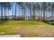 Grassy backyard with trees bordering the rear of the property at 117 Rooster Tail Ln, Troutman, NC 28166