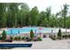 Large community pool with separate areas for laps and lounging, surrounded by lush greenery at 1670 Tranquility Blvd, Lancaster, SC 29720