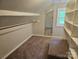 Walk-in closet featuring carpet, built-in shelves, and a window at 3824 Freedom Dr, Charlotte, NC 28208